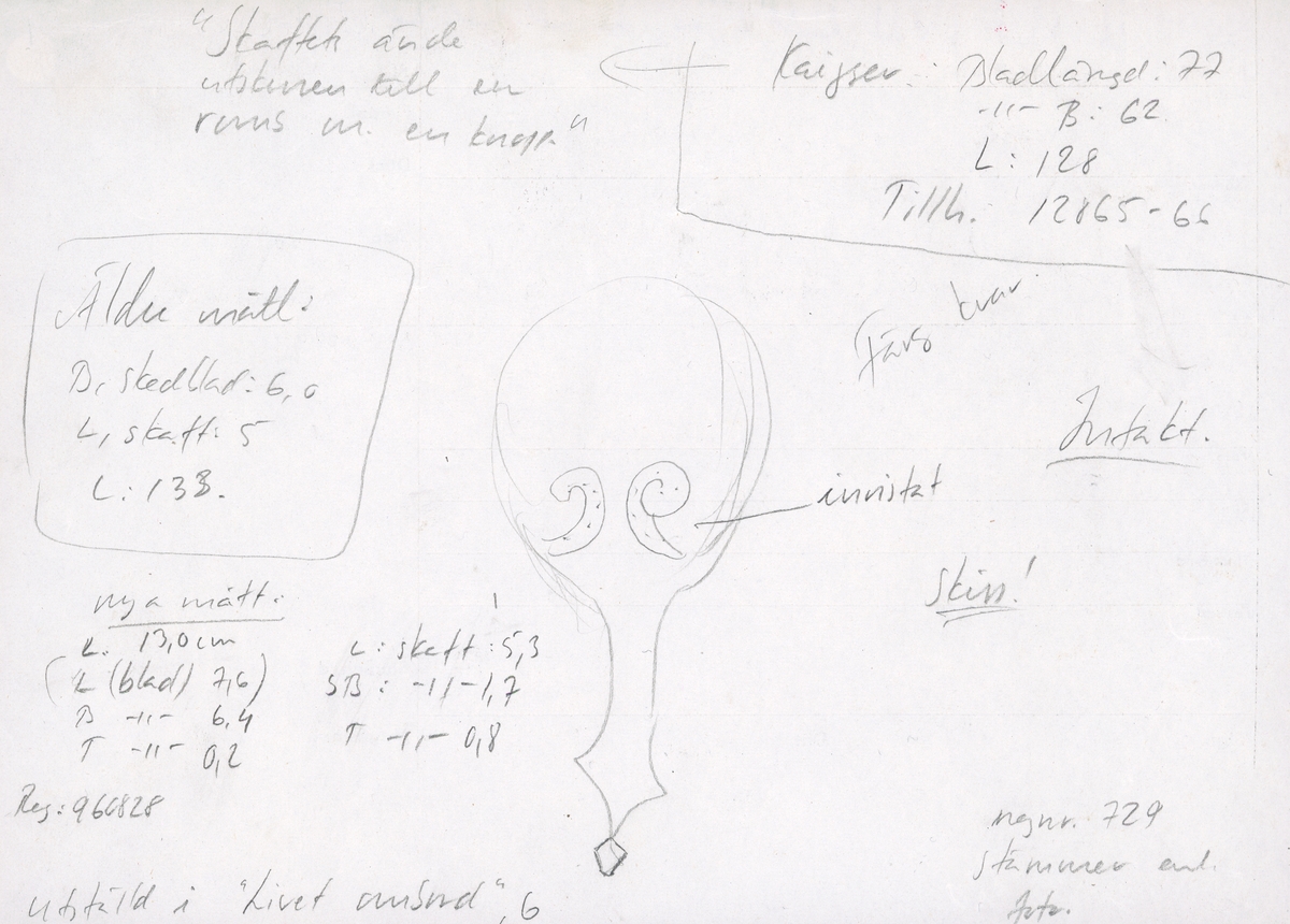 En träsked. Skeden har ett ovalt skedblad och ett kort skaft. Skaftets ände är rombformat samt försett med en liten knopp. På skedbladet syns en inristad dekor.

Skeden är välbevarad och har synliga färgspår.

För mer information se Dokumentationsblankett under Referenser – Länkade filer.