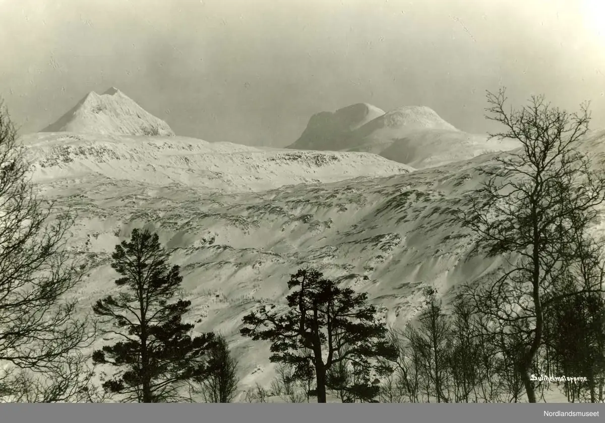 Natur. 
Sulitjelma–toppene sett i vinterskrud fra Daja. 

Foto N. Helgesen, Bodø.