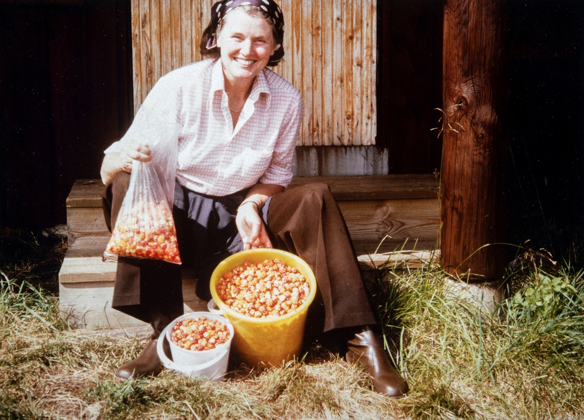 Sigrid Gjestvang (1926-2009) fra Hverven gård i Ottestad, viser stolt frem resultatet av en vellykket multetur runt ved Nordsetra. Multesanking. Multebær. Multe.
