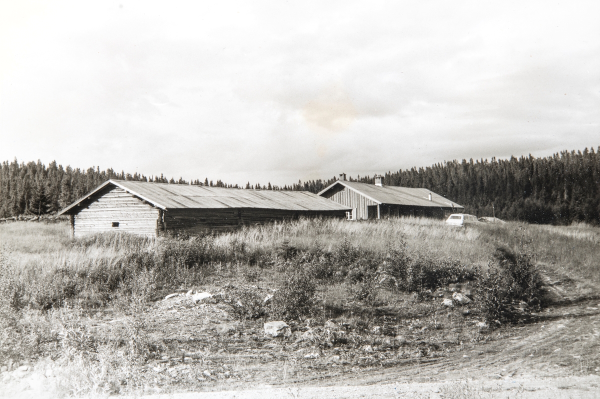 Eksteriør, oversiksbilde av Nordsetra på Løsset, Åmot kommune. Setra var eid av Hverven gård i Ottestad frem til 1990-tallet, da eiendommen ble innlemmet i den nye Rena leir. 
 