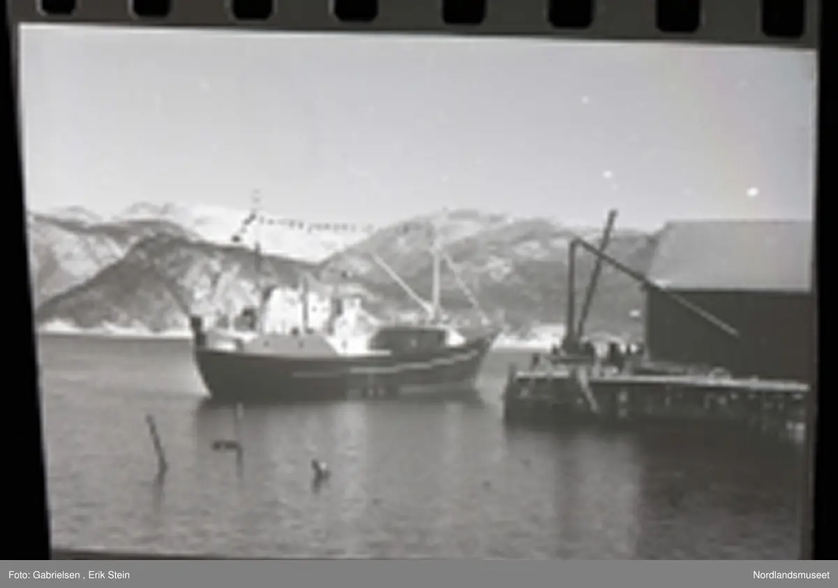 Fotografi av en båt som legger til fra Rognankaien
på sin jomfrutur igjennom Rognanfjorden mens noen personer som står på bryggen i kaien og ser på båten og man ser at båtens 
navn står på baugen og styrhuset til båten og 
to master som det er hengt et langt tau med mange 
forskjellige flagg og man ser en kran framme oppå
baugen til skipet og man ser noen rellinger som går langs akter og forsiden av båten og man ser noen personer som står på båten og ser mot kaien og man ser et båthus på kaien vedsiden av bryggen og noen tønner og noe ved som ligger på bryggen i kaien