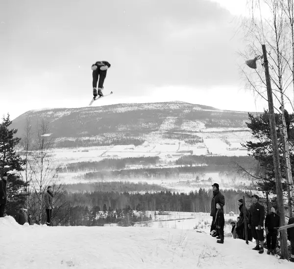 Kretsmesterskapet på ski, Vinstra, 25. og 26.1. 1964