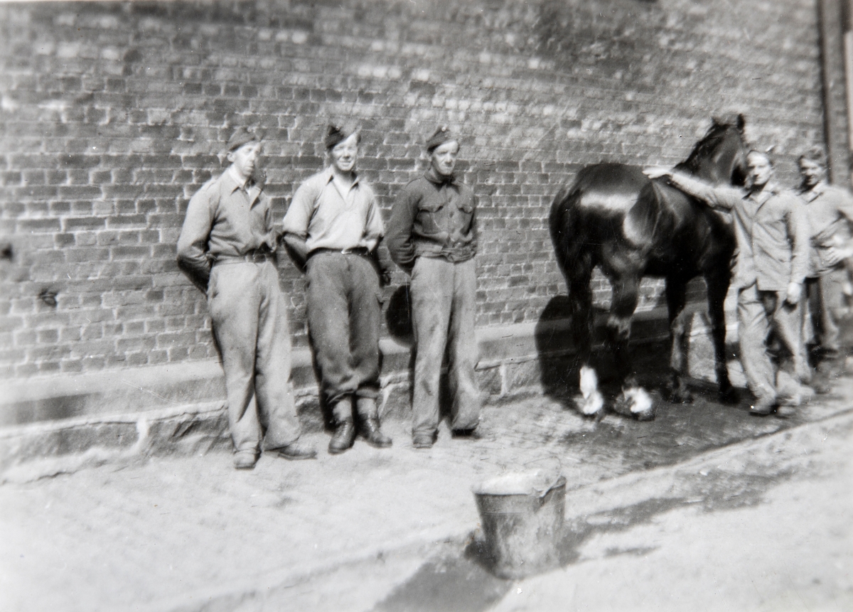 Dimittering fra militæret på Akershus Festning i 1945. Pussing av hester i Kløvkompaniet. Arne Furulund (1919-2002) nr. 3 fra venstre.