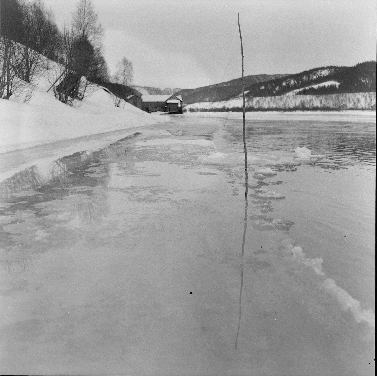 Flom i Selbu