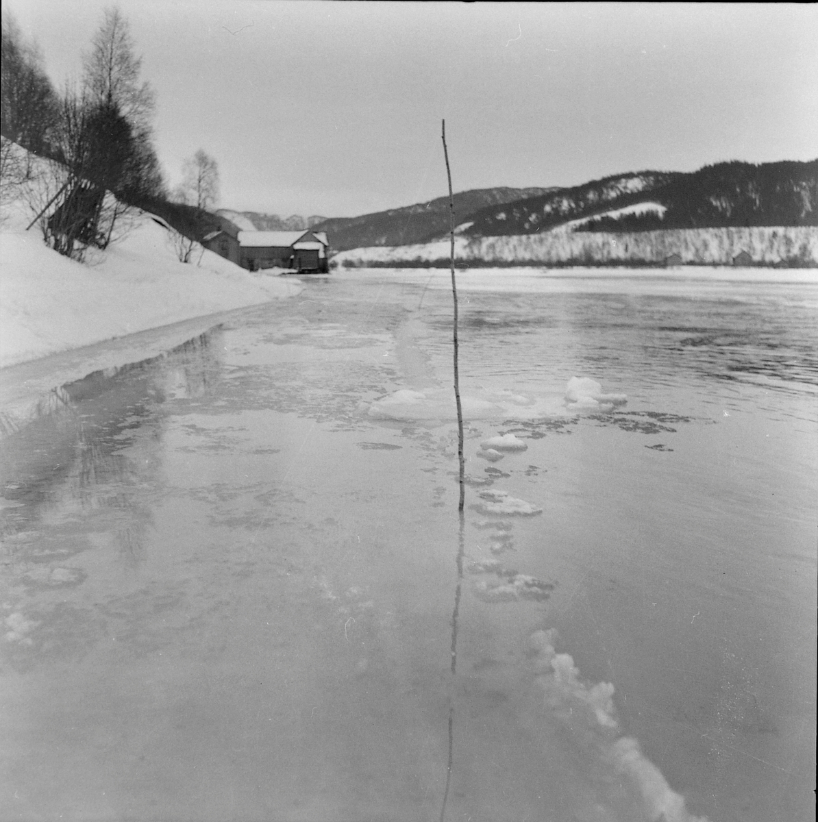 Flom i Selbu