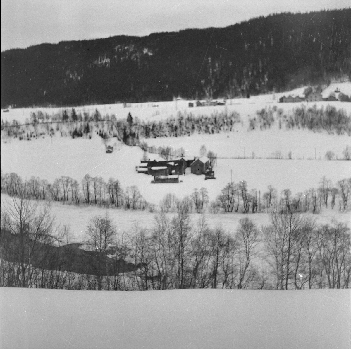 Flom i Selbu