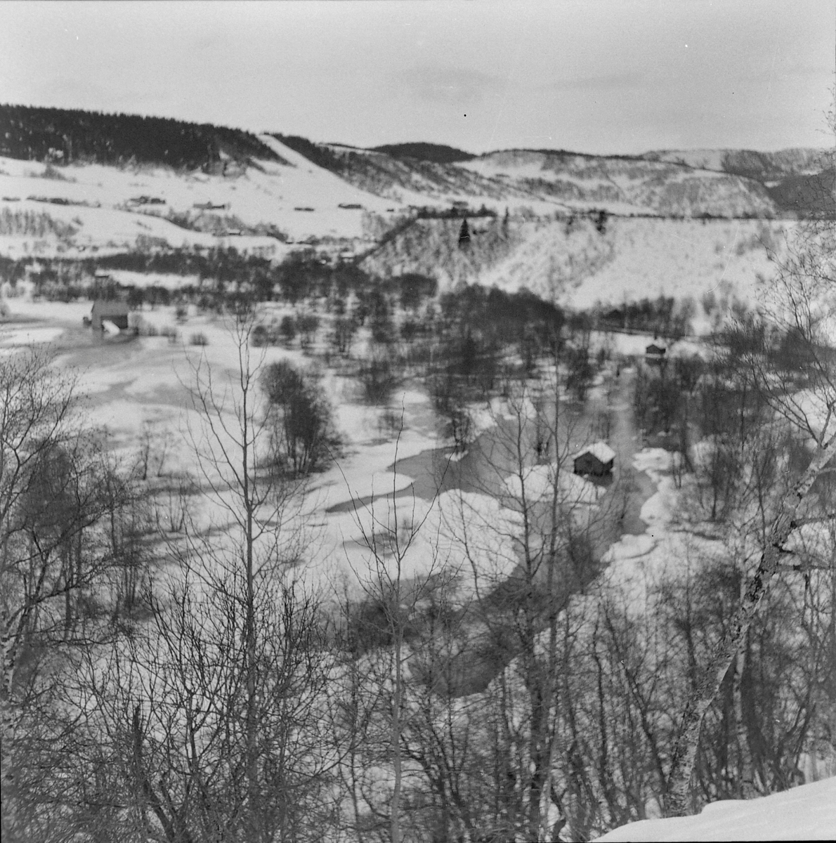 Flom i Selbu