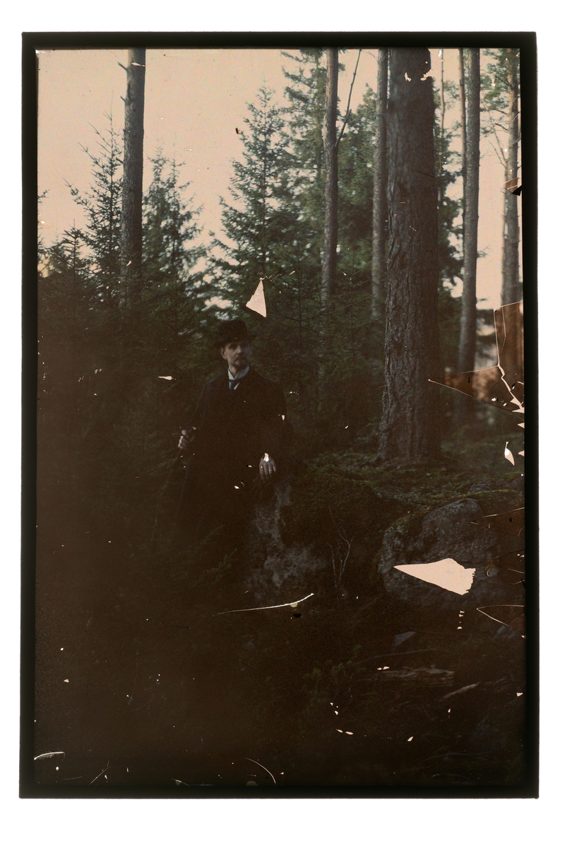 Lindskog, Samuel (1872 - 1953)