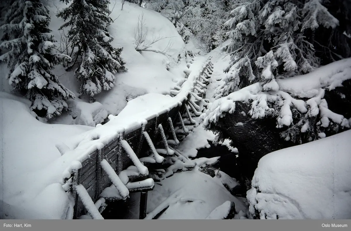 tømmerrenne, skog, snø