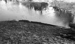 Paul Bobergs foton av Kronobergs slottsruin år 1934-1938