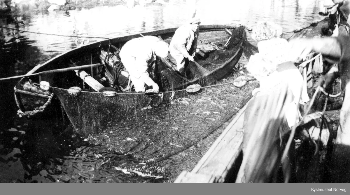 Georg Leithe, Hans Leithe, Jørund Kildahl, Bjørnar Einvik, Harald Einvik, Torid Kihldahl, Gunn Kildahl, Gunn Kildahl og Sverre Einvik på sildopptaking ombord i M/S Havlys II ved Staumsvika i Flatanger
