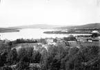 Härnösand sett från kyrktornet. Vykort, cirka 1900.