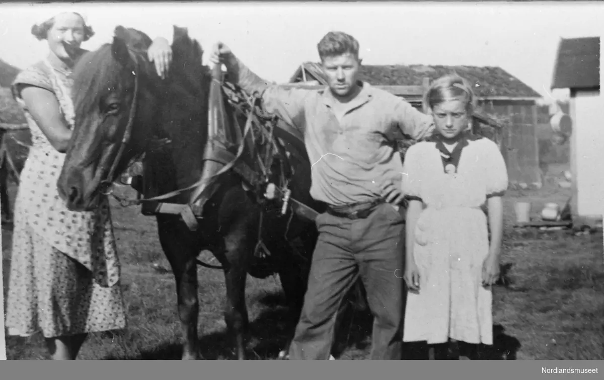 Fra venstre: Tjenestejente (ukjent), Vollan-hesten, Alfred Vollan og Alfhild Lillevoll. 1937.