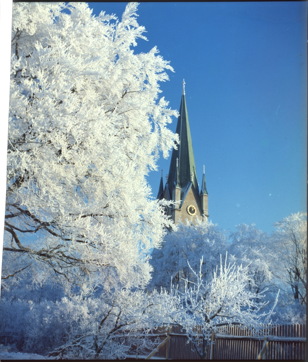 Domkyrkotornet och del av träd vintertid.