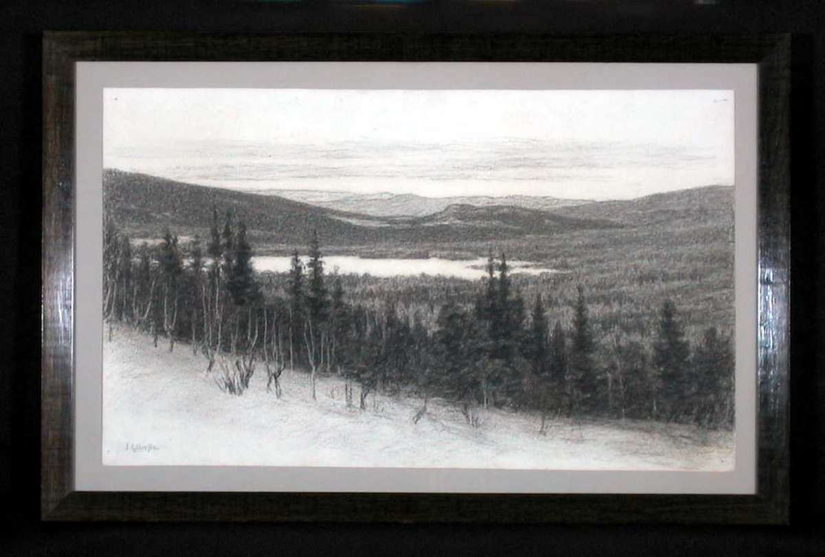 Landskap sett fra tregrensen ned mot vann og fjell bak.