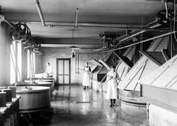 Kort: N.Fron. mars 1914. Vinstra dampysteri kokeriet. Konv: 