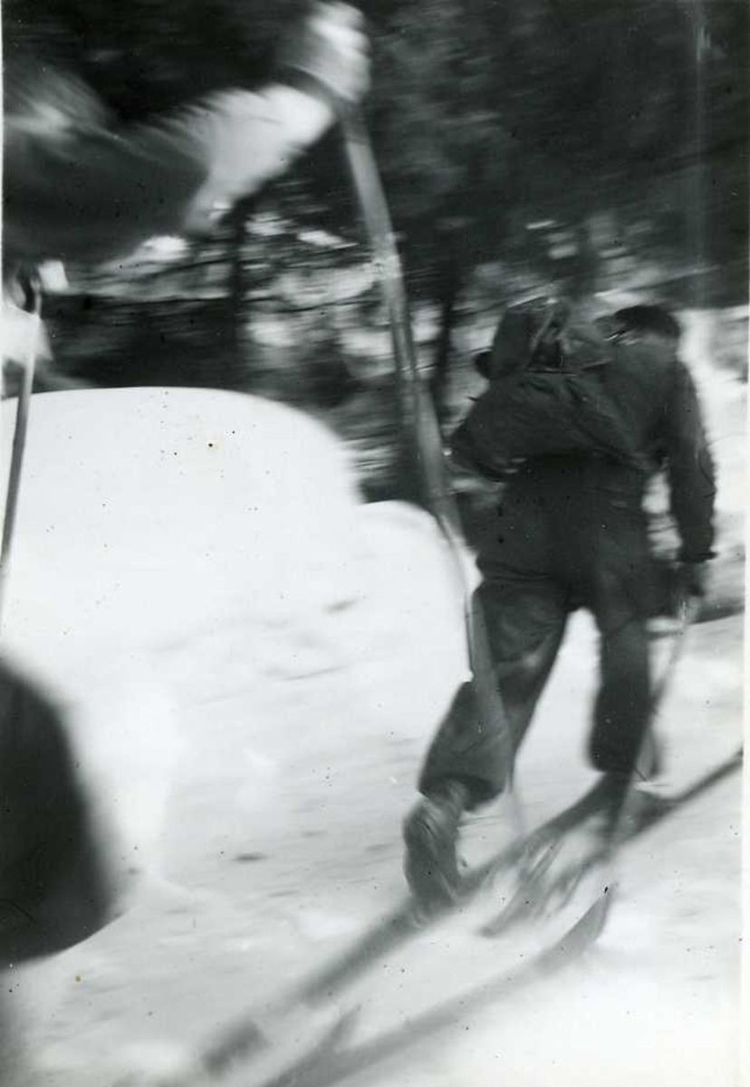 Menn, ski, skog