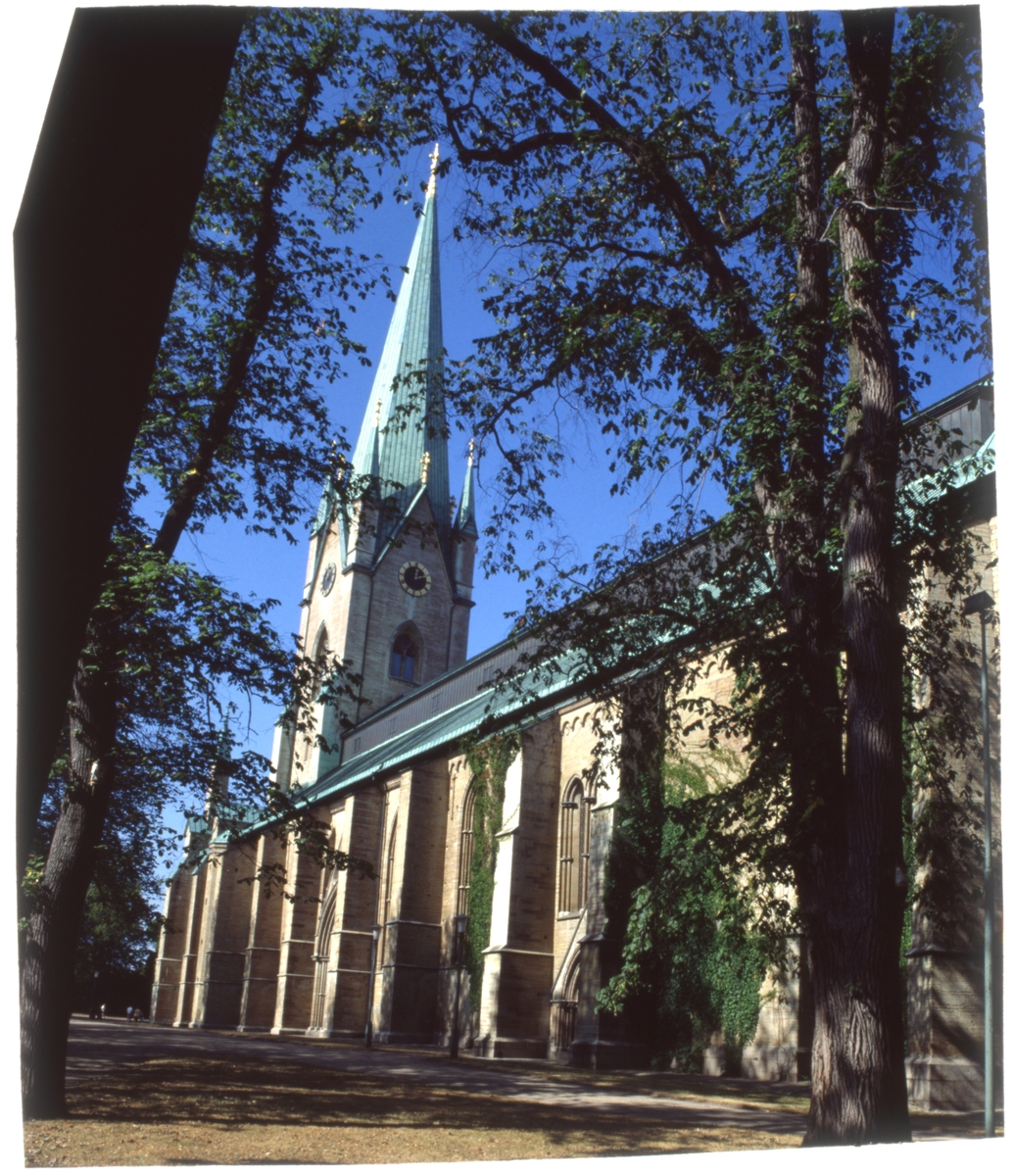 Domkyrkans södra sida.
