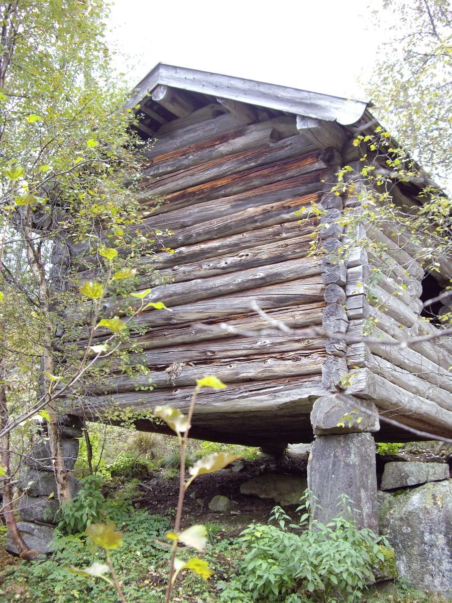 Høysel