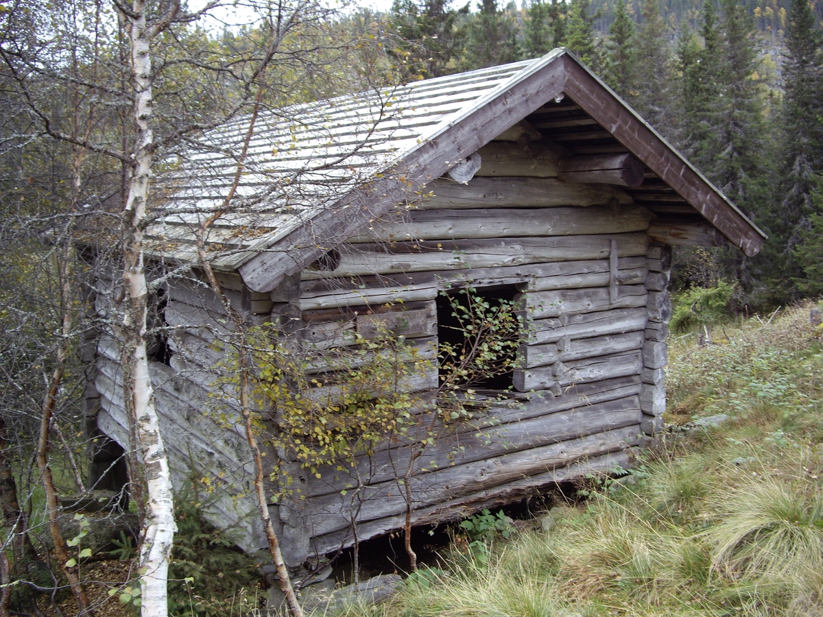 Høysel