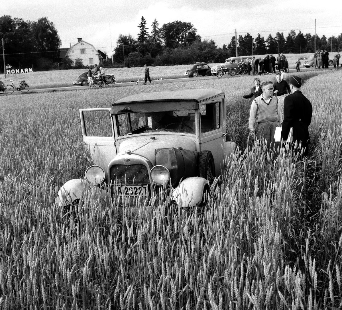 På något vis skedde det. En gammal Ford i vetesåkern vid Mörtlösa. För närmare orientering kan nämnas att fastigheten Stjärneberg (senare Gränsliden 5) ses i bakgrunden. Foto 1954.