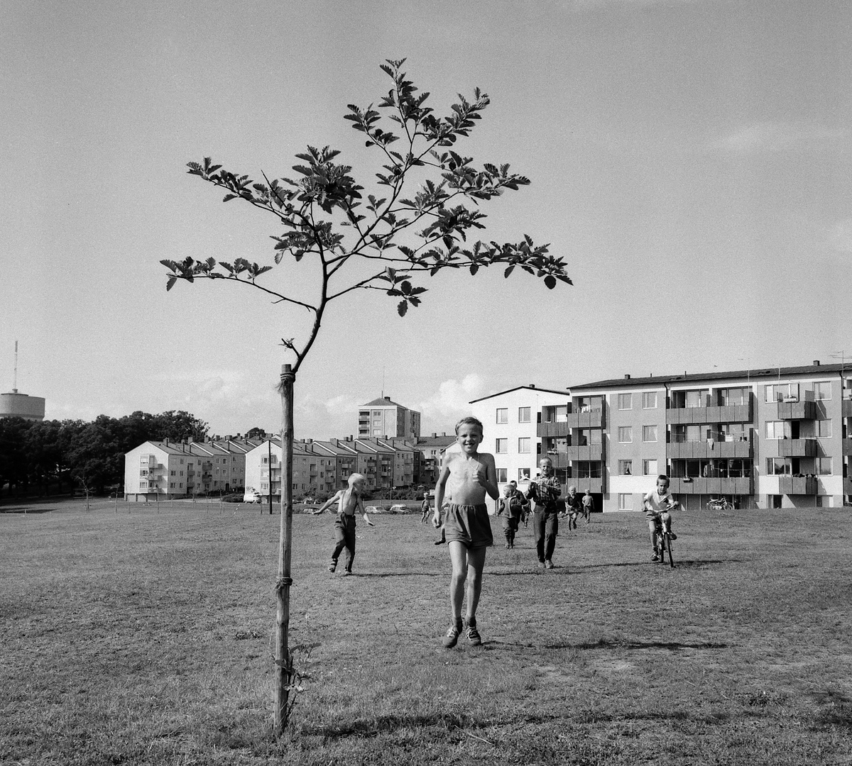 Bilder från området Majelden i Linköping. Reportage för Hyresgästföreningen 1963.