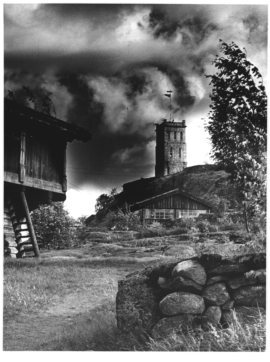 Slottsfjellet - Tønsberg - fra museet
