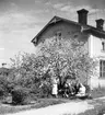 Huset i korsningen Storgatan-Eriksbergsgränd, gården.