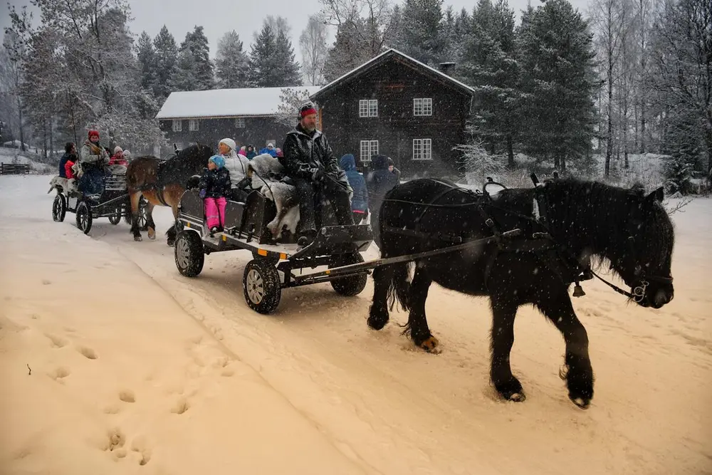 Svart dølahest drar vogn med glade barn og voksne. Snø og julestemning. Tømmerhus i bakgrunnen.