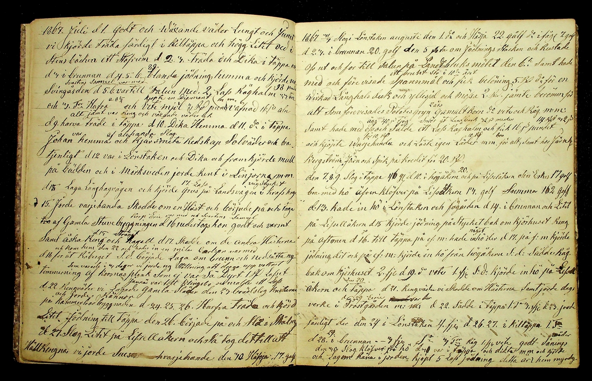 Dagbok åren 1866-1875 efter Hemmansägare Sigge Erik Jansson i Översätra, Stora Skedvi socken.