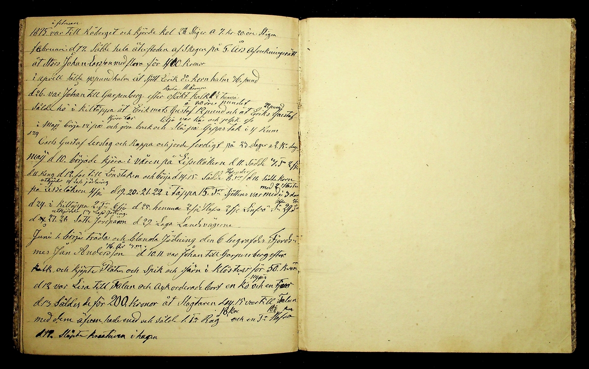 Dagbok åren 1866-1875 efter Hemmansägare Sigge Erik Jansson i Översätra, Stora Skedvi socken.