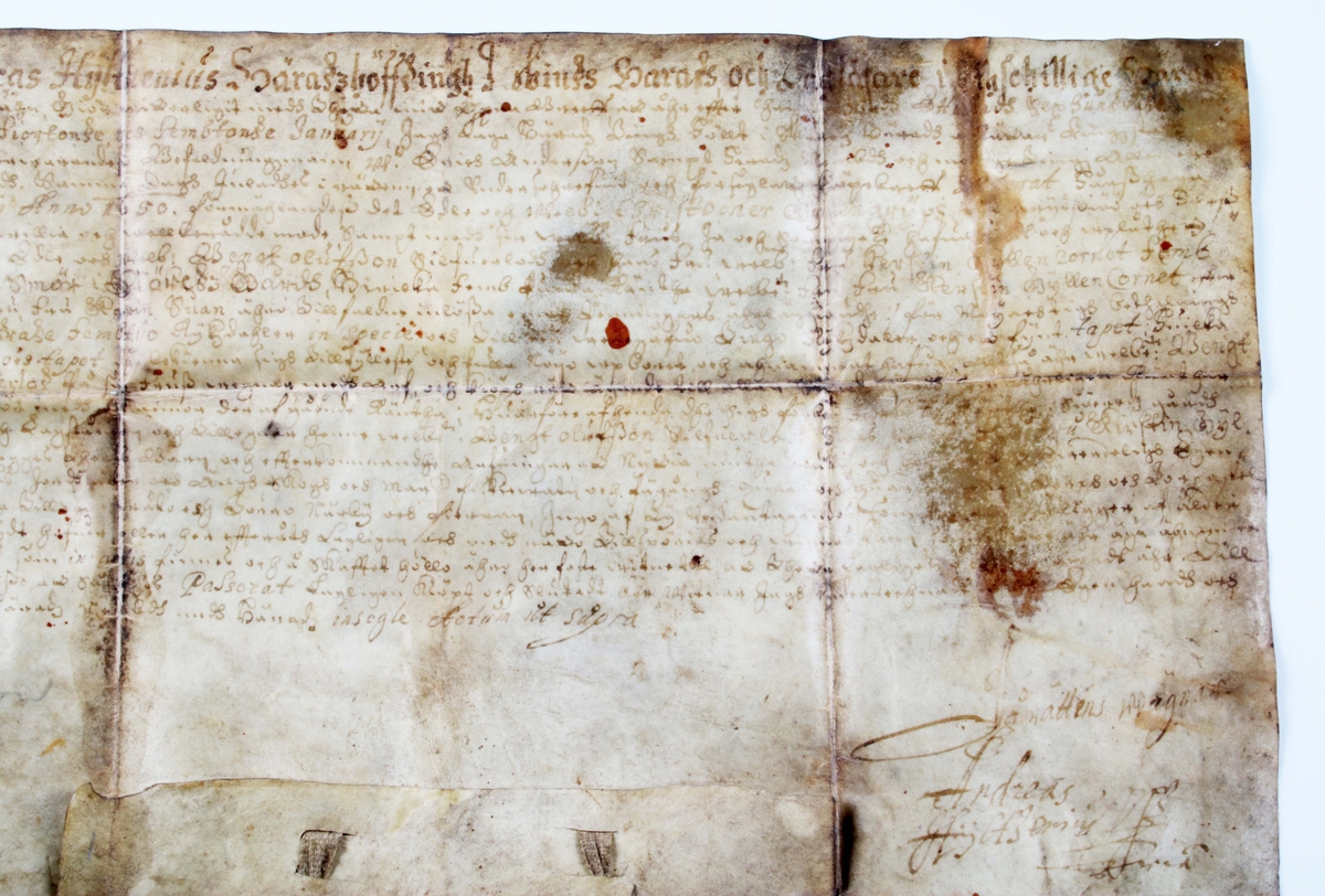Fastebrev (pergamentbrev). Utfärdat av tingsrätten i Marks härad, Skene, år 16?3 (troligen efter 1650), rörande 5 pund smörränta för Andreas Hylthenius. En sigillkapsel i trä utan sigill medföljer (en saknas).

Pergament är ett skrivmaterial, framställt av djurskinn. Detta genom att hår och köttrester avlägsnas från skinnet som därefter slipas och skrapas tills det är lagom tjockt. (Wikipedia)
