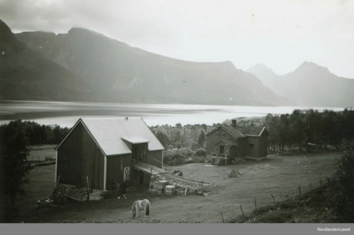 Gården Sollia i Skotsfjord, Steigen.