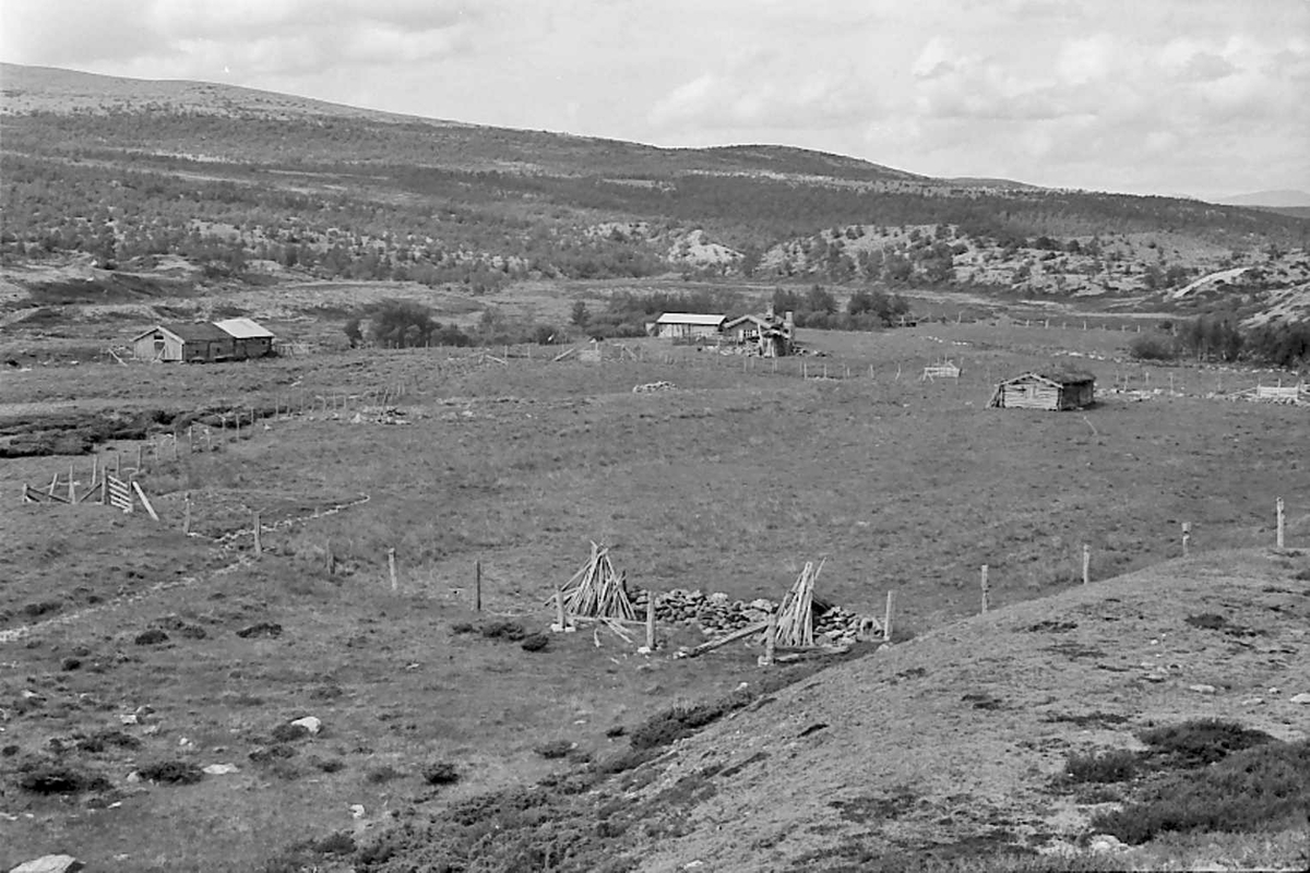 Naturforhold, sæteranlegg. 