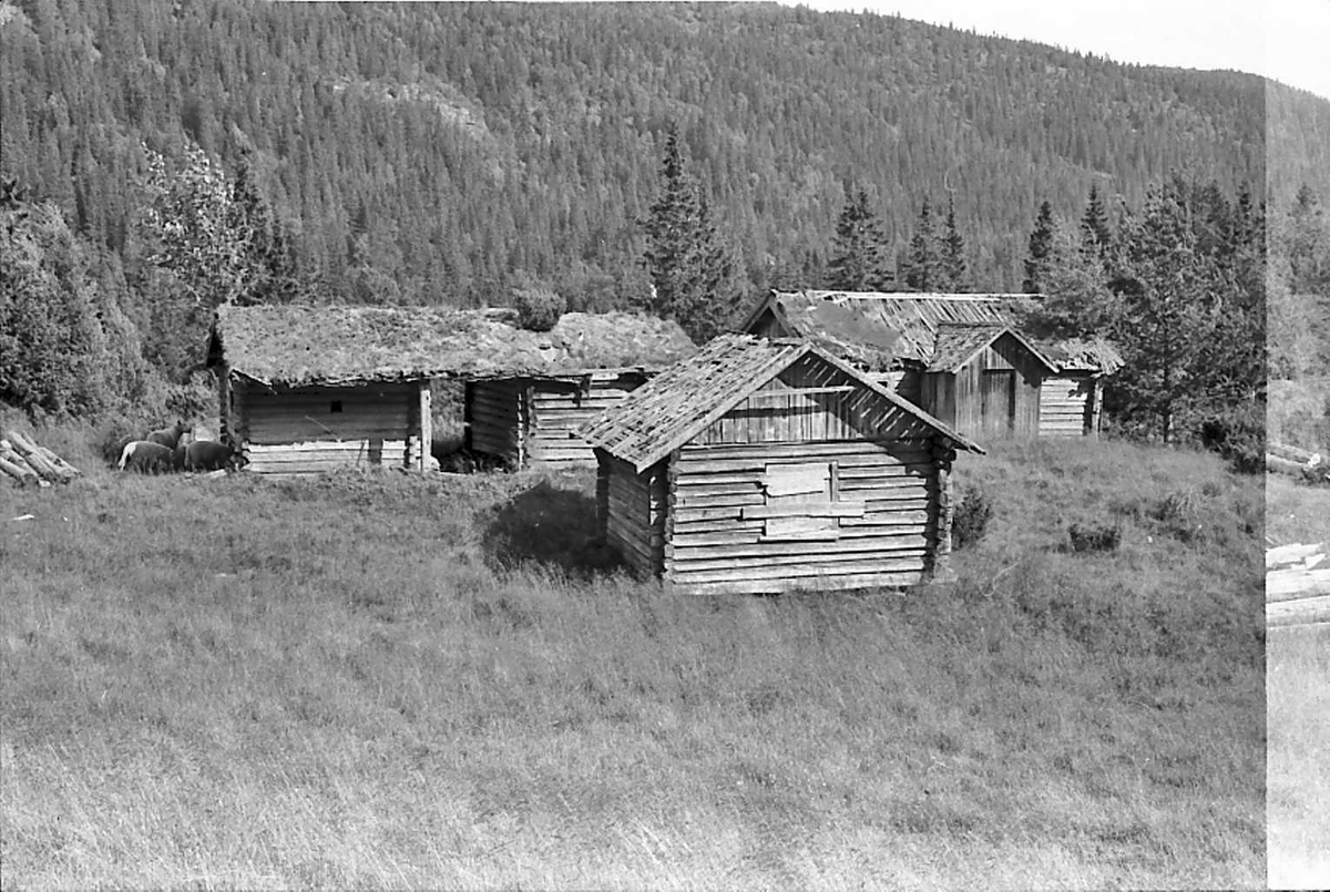 Naturforhold, sæteranlegg. 