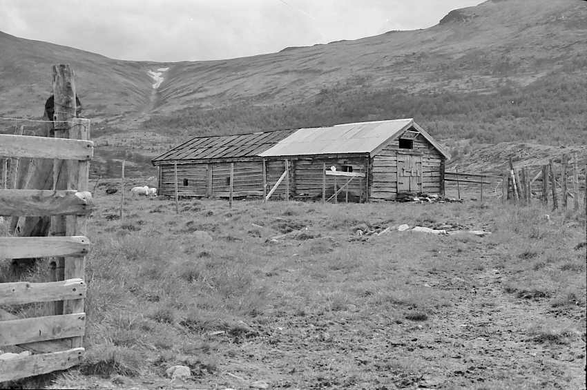 Fjøs/låvebygning, gjerde, naturforhold. 