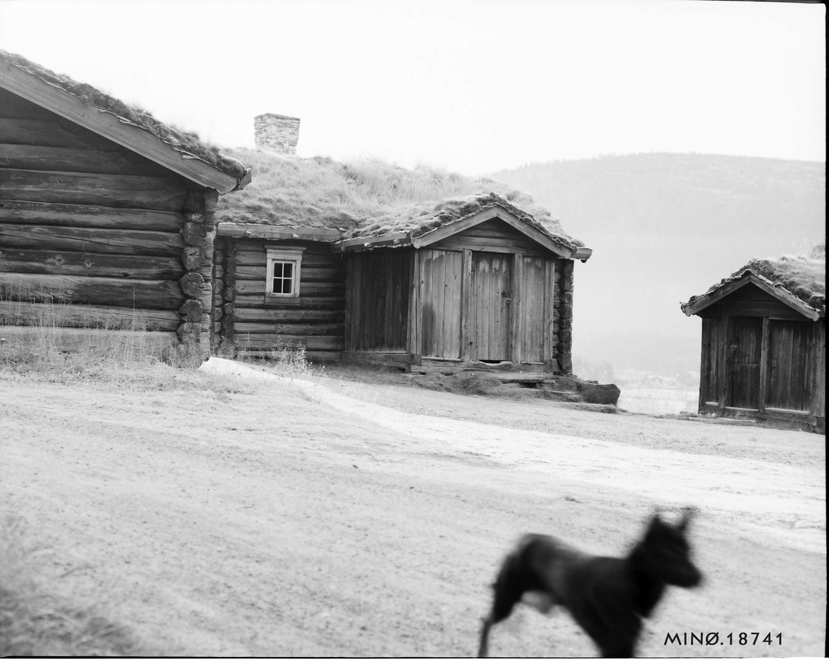 Seterhus, uthus, hund. 