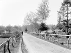 Tidig vår i Sandvik 1898. Fotografen har ställt upp sin kamera på landsvägen utmed sjön Roxens norra strand, vänt linsen västerut och förevigat miljön kring Lilla Sandvik, vars bostadshus vi ser till vänster. Vid tiden för bilden hade slaktaren Carl August Johansson köpt det lilla lantbruket och möjligtvis är det honom vi ser på vägen.