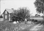 Familj i trädgården, Östhammar, Uppland