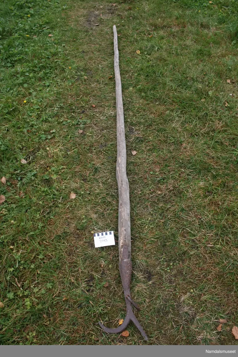 Fløterhake