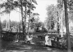 Sommaridyll i Roxenbaden 1902. Barnen hörde sannolikt hemma bland de välbeställda linköpingsfamiljer som vid tiden låtit uppföra sommarbostader i det populära området med behändigt avstånd från staden. I bakgrunden skymtar emellertid exempel på äldre bebyggelse, bostadshuset till lantbruket Lilla Sandvik.