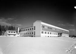 Det Norske Skogforsøksinstitutt, Ås, st. ark. Grimsgaard