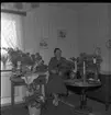Realskolebilder Nyarp 1961. En kvinna sitter omgiven av krukväxter och blombuketter.
