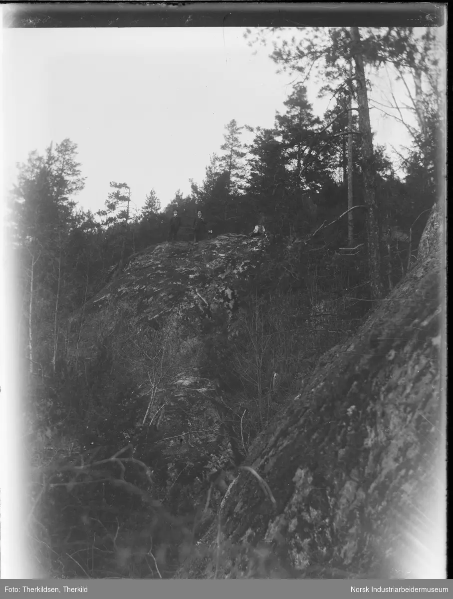 To menn stående på fjelltopp i skogsterreng.