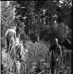 Rotenonbehandling i Bergadammen 1961. En man står i en båt intill en strand. Han håller i ett långt mustycke som leder till en metallbehållande. På land står två män i vita skjortor och ett litet barn.