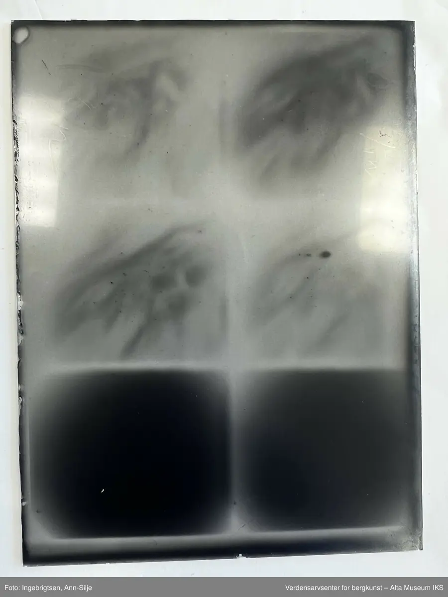 4 esker i papp. 3 av de inneholder glassplater med motiver på, den siste er tom. Glassplatene ligger i individuelle papirposer og merket med dato for fotograferingen. Datoene spenner mellom vintrene 1914-1915.