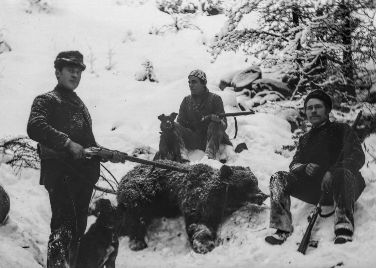 Tre jegere i snøvær, med gevær og to hunder. Mellom dem ligger en nyskutt bjørn. Fotografen sjøl Hans H. Lie sitter til høyre på bildet. Han pleide å trekke i ei snor for selvutløser på kameraet. Bjørnen antask skutt i hjemtraktene i Hallingdal.