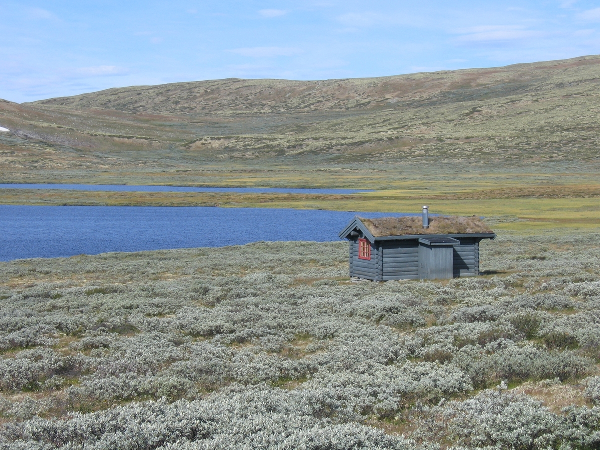 Veslhjerkinntjønnbua (Øyatjønnbua)