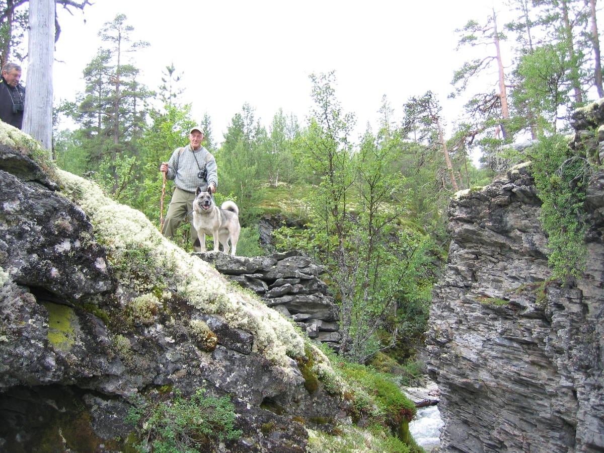 Gjelbrua over Atna