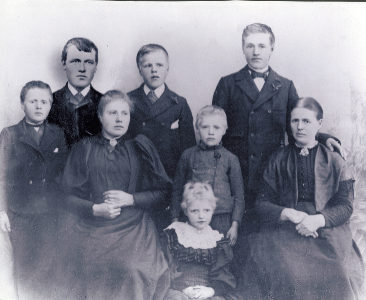 Familien Hodne